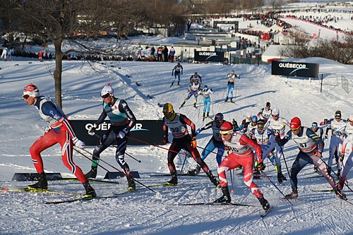 FIS Cross-Country World Cup